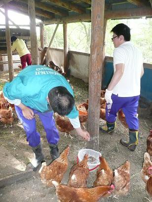 �פ��֤�ηܤǤ���������