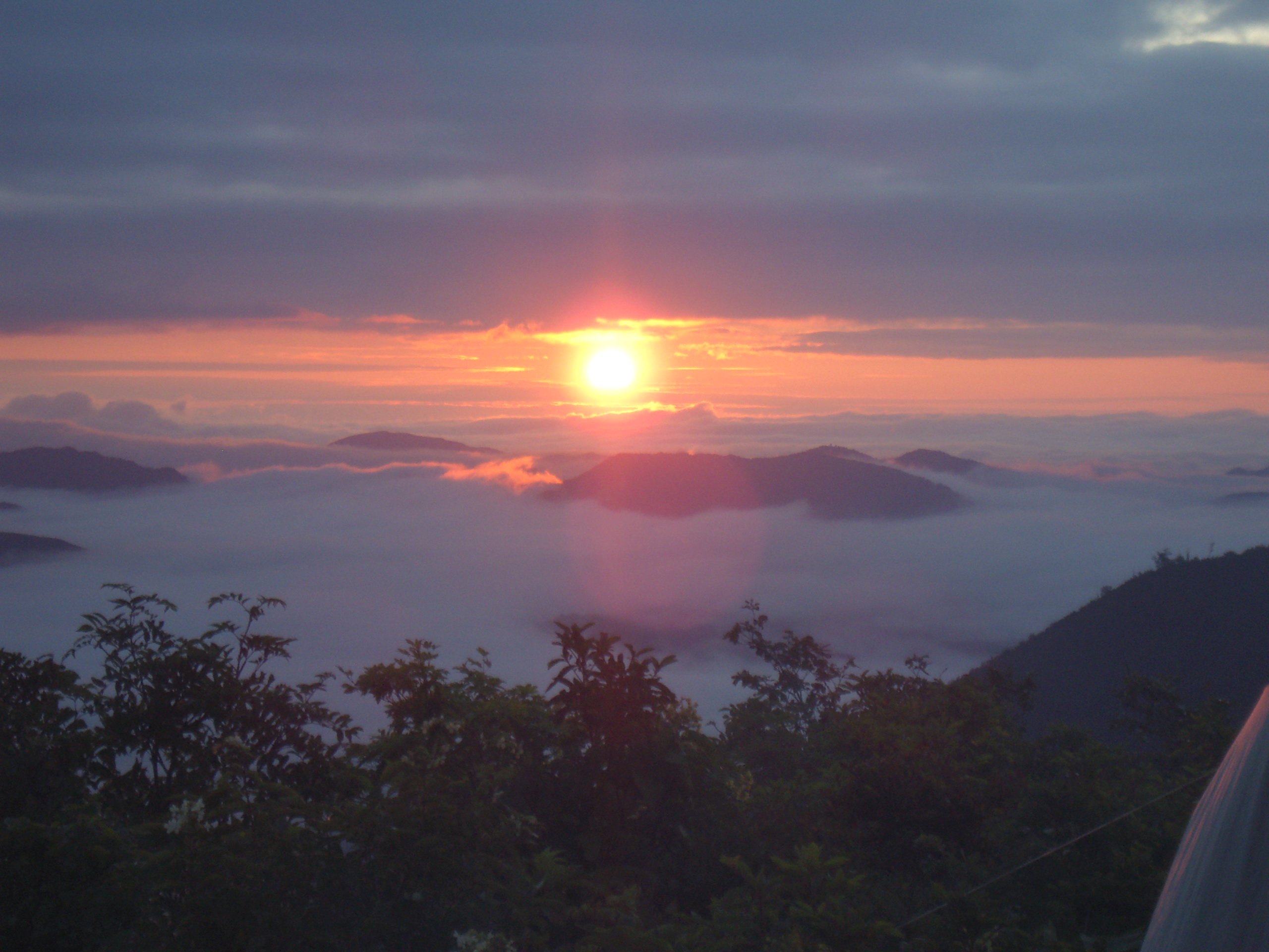 ��λ���ī������