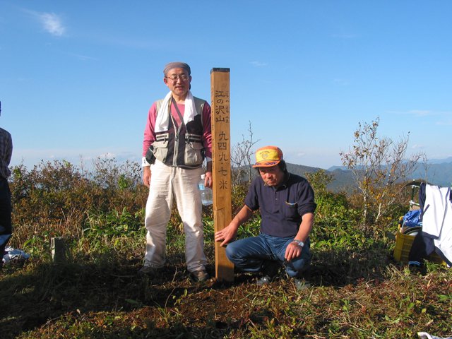 ������������ĺ������