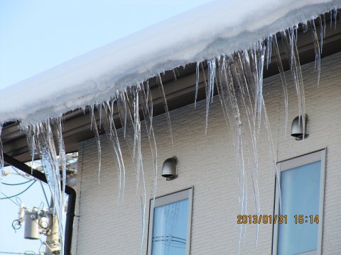 �ڥ�ݡ��ȡۡ�����˹�碌�����ƥʥ󥹡ʥ���ϳ���ԡˡ�����