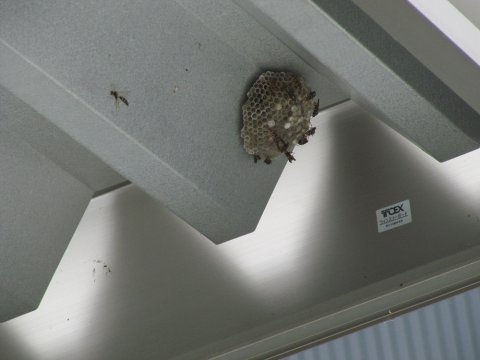 �ڥ�ݡ��ȡۡ�˪�����༣������