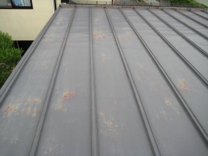 �ڲ����Υ��ƥʥ󥹡ۡ����θ������ΤäƤ��ޤ�����������