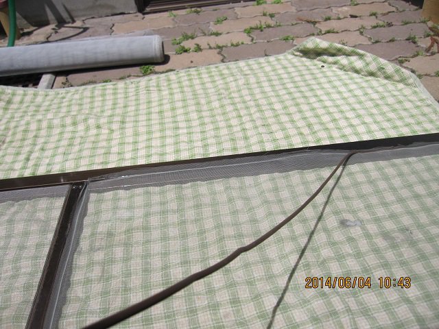 �ָͤϤ�֤�Ƥ��ޤ��󤫡�������