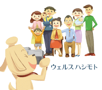 �����륹�ϥ����/���󥻥ץȥ֥å�������