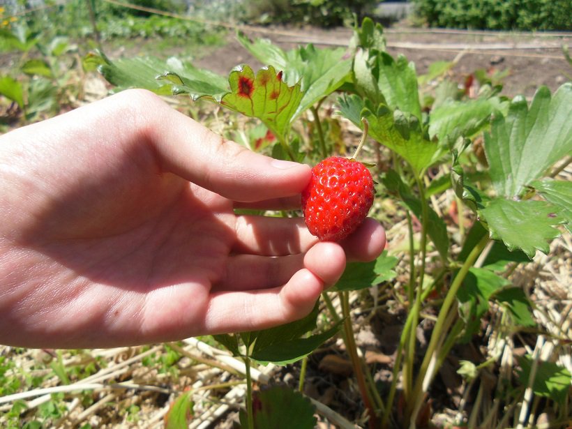 �ڲ�ҺפޤǤ��ȣ������ۡ�����