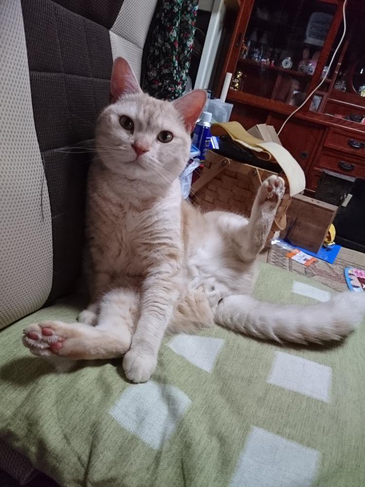 ����äȤ����衣 ���̿�
