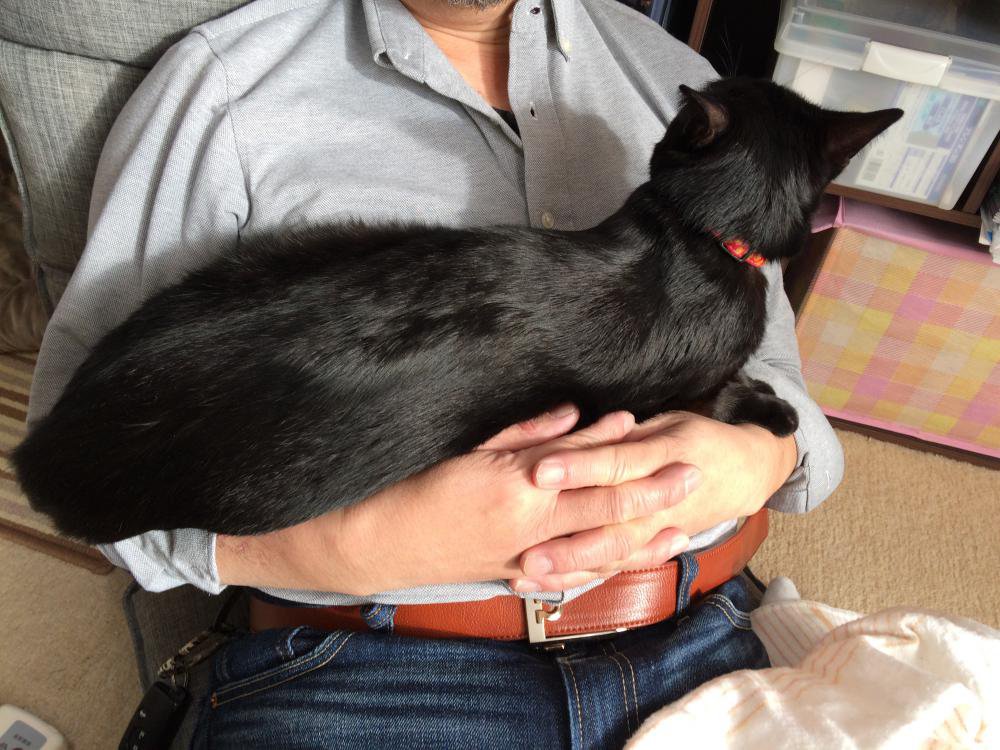 ���뿲�档���̿�