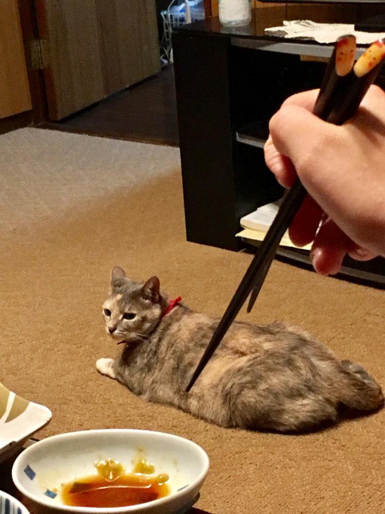 �����ߤͤ����̿�