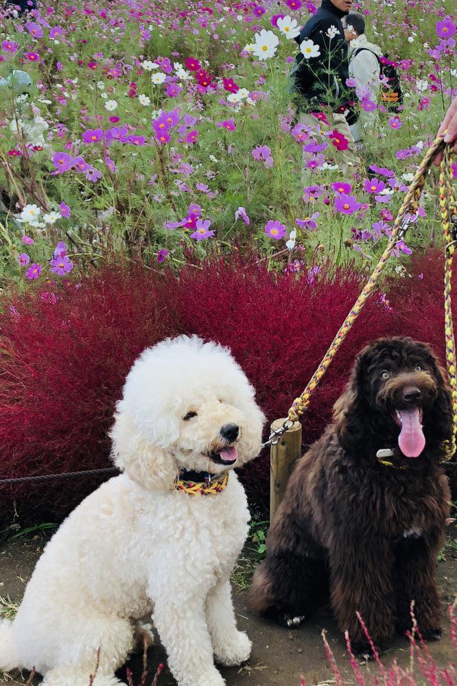 �������Υ�ե���ؤꡧ�̿�