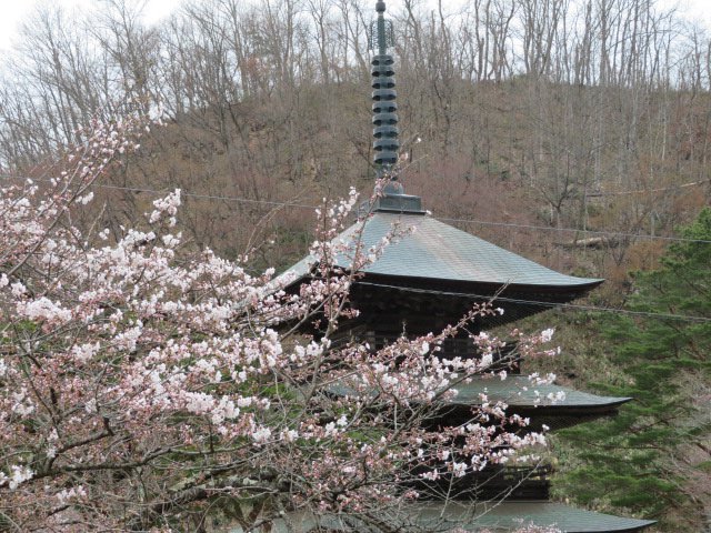 餭ޤ