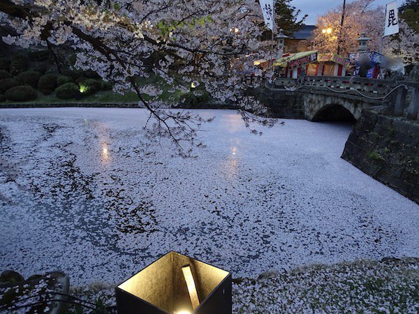 21年松が岬公園 上杉神社 桜情報 一般社団法人 米沢観光コンベンション協会