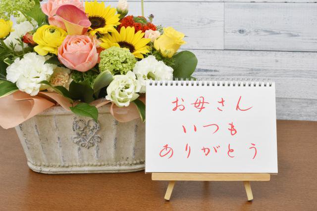 ˥塼ΤǤ