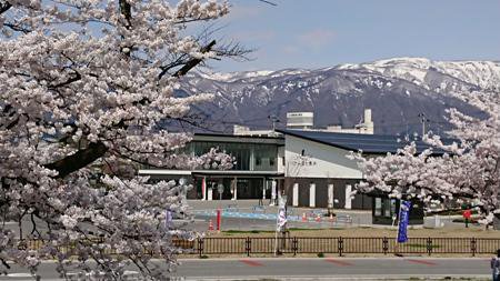 【+｡:+ さくら通信 総集編2019 *+:｡】：画像