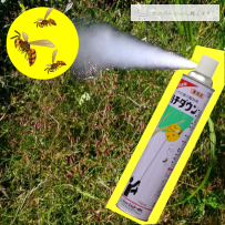 ����ʮ�ͤΥϥ����ץ졼���ϥ������� ���������졧����