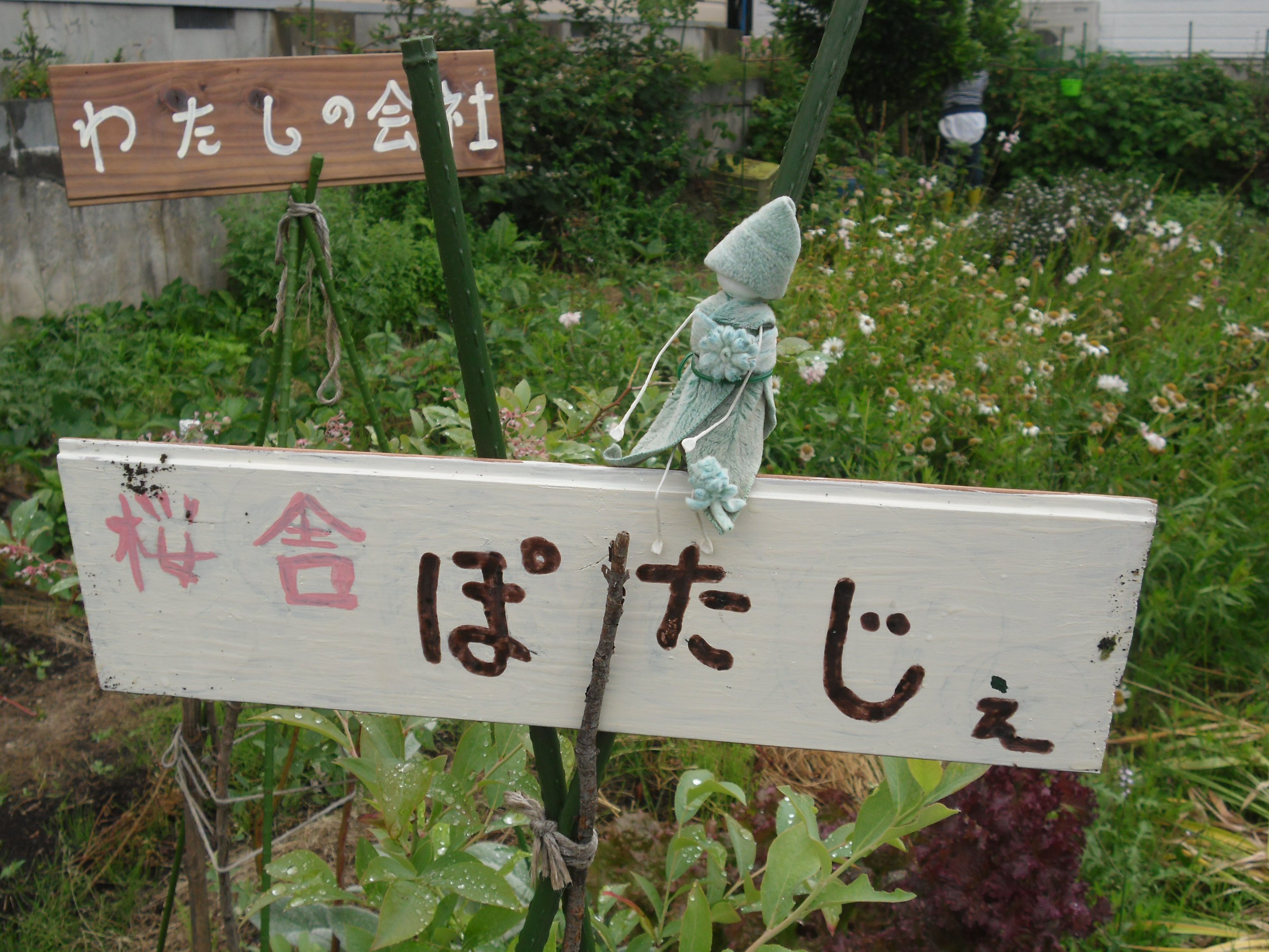 ��ҺפޤǤ���23����������