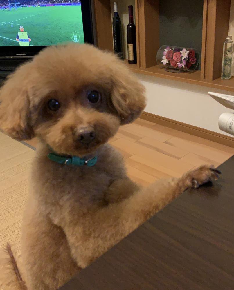 ���Ҥ����֤�ǡ������̿�