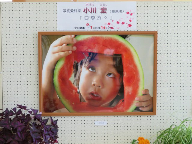   ̿ŸǤ