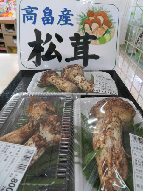 ޥĥ³桪