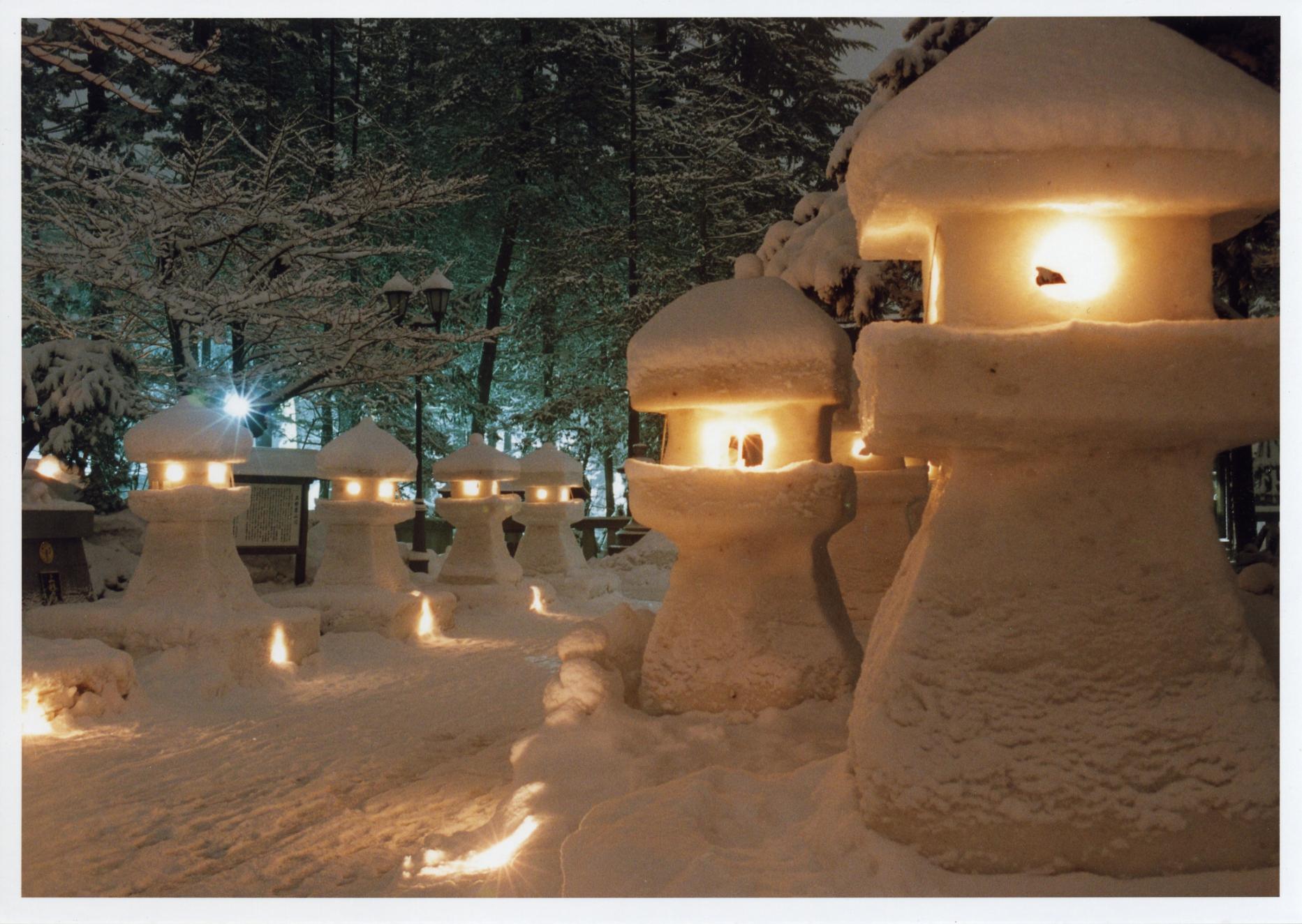 ��44��������϶�ޤĤꡡľ�����饷��������������