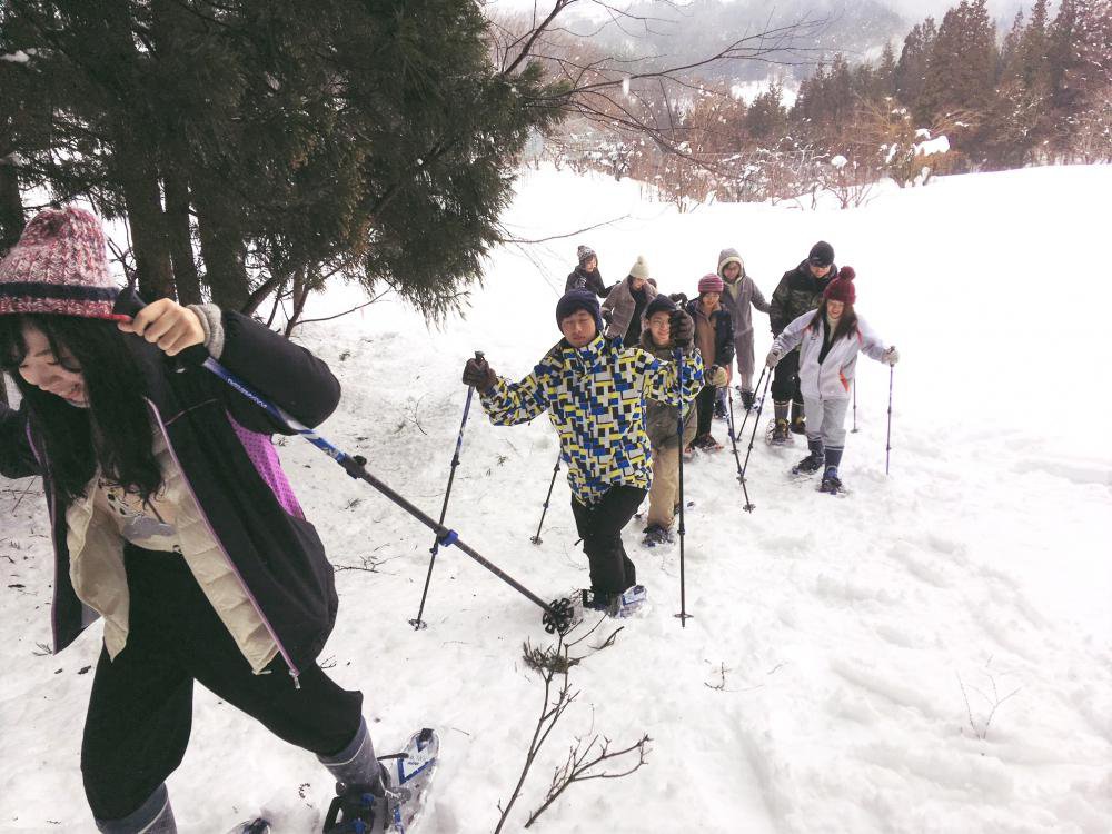 ���Ρ����塼�ȥ�å����θ�������