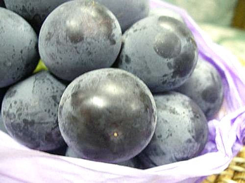 ������ŷƸ���Լ�ʤ��ԥ����͡���γ�ǹ���ɤ�������