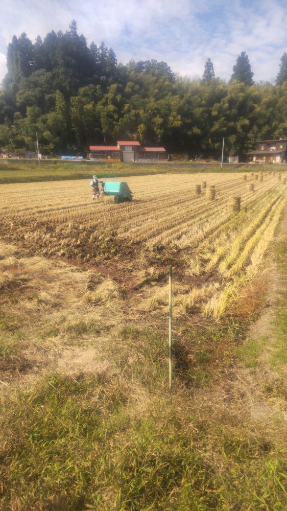 �Τ������Ƥ��ޤ�������