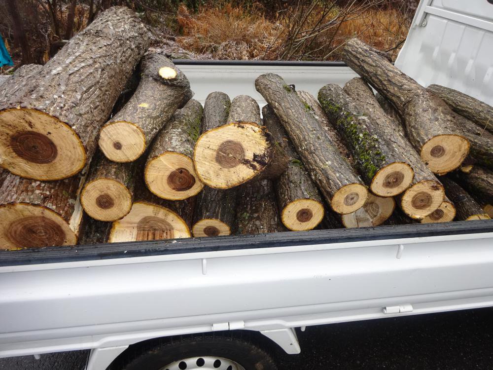 ���ݤν����Τ��Τ餻������