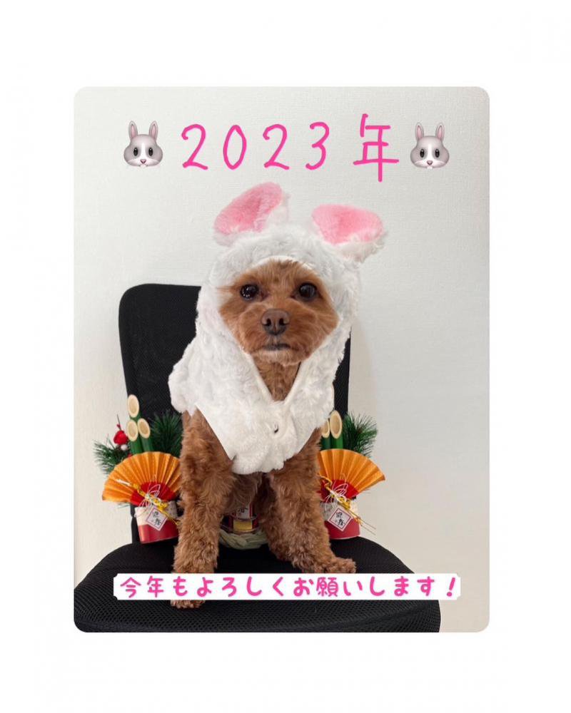 �����ޤ��Ƥ���ǤȤ��������ޤ���������