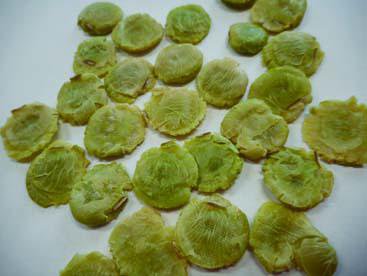 ������Ʀ���Ǥ�Ʀ����2/15�����ճ��ϡ�����