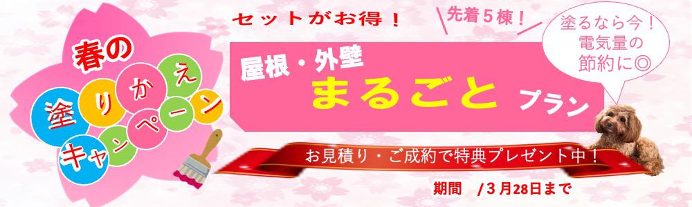 �դ��ɤ��ؤ������ڡ��󡧲���