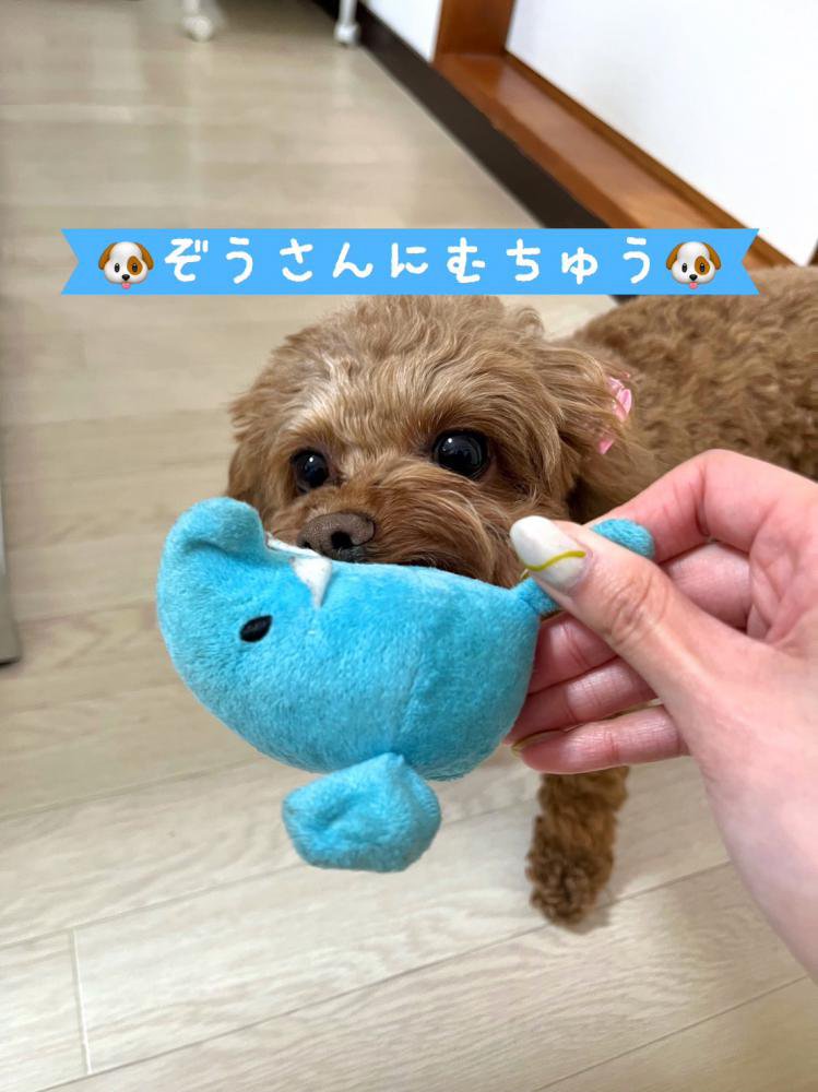 ̴桪