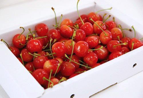 �ե�åƥ������������ܡ�īŦ�ߥ��åȡա�����