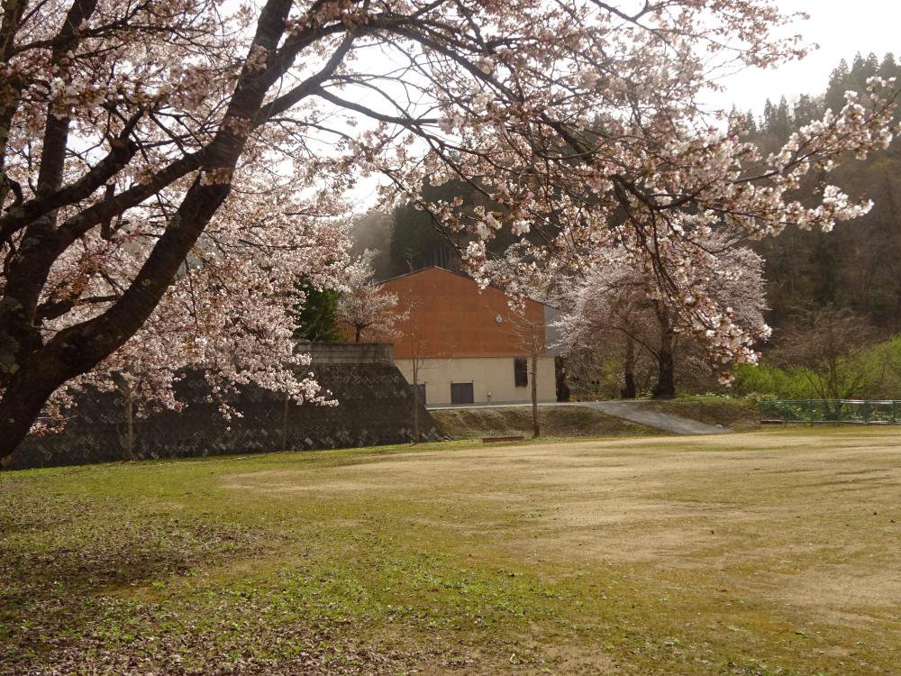 TASSHO�κ����󡧲���