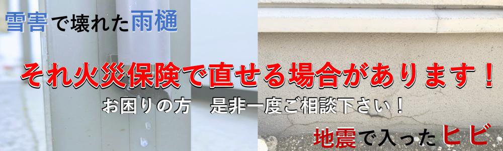 �㳲�ǲ��줿�������Ͽ̤����ä��ҥӡ��к��ݸ����Ȥ����礬����ޤ�������
