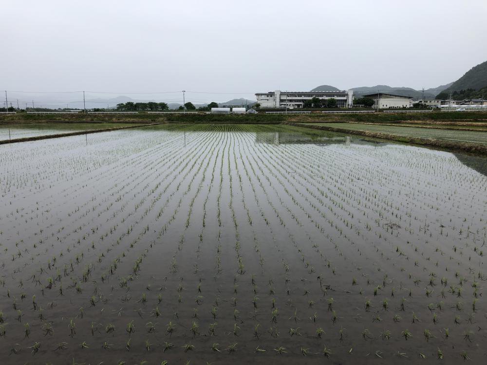 �Ĥ�ɱ���Ŀ���������