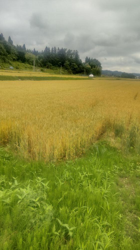 ������󡧲���