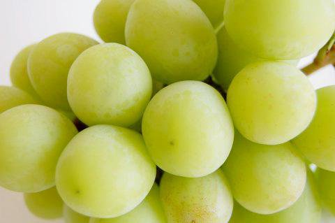 �ԥ��㥤��ޥ����åȡ��餴�ȿ��٤�����γ�֤ɤ�������