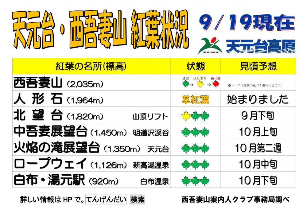 ڹվŷ桦ʻιվ20239/19