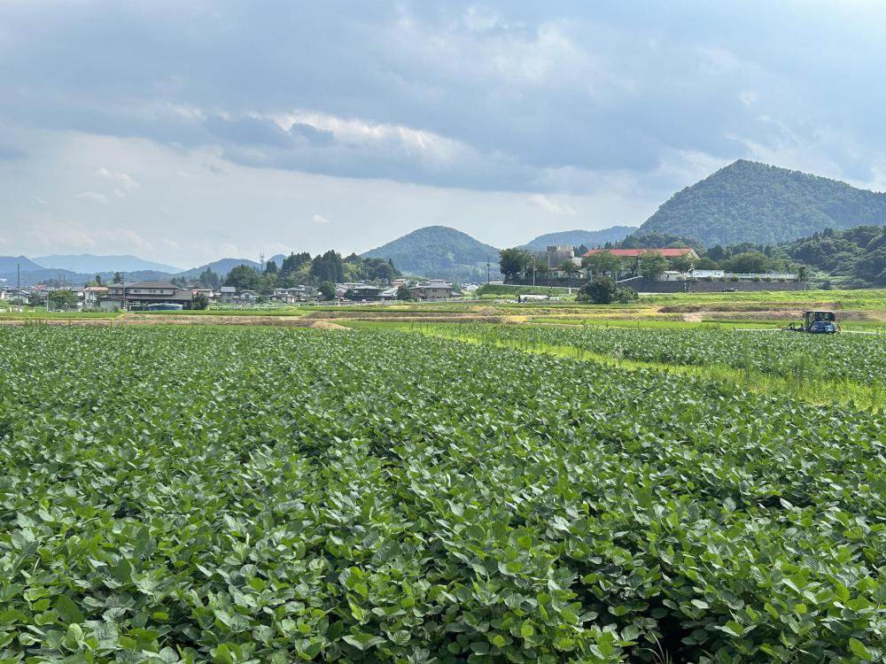 ��Ʀ�⤮�Ȥ���Ϻפγ��ŤˤĤ��ơ�����