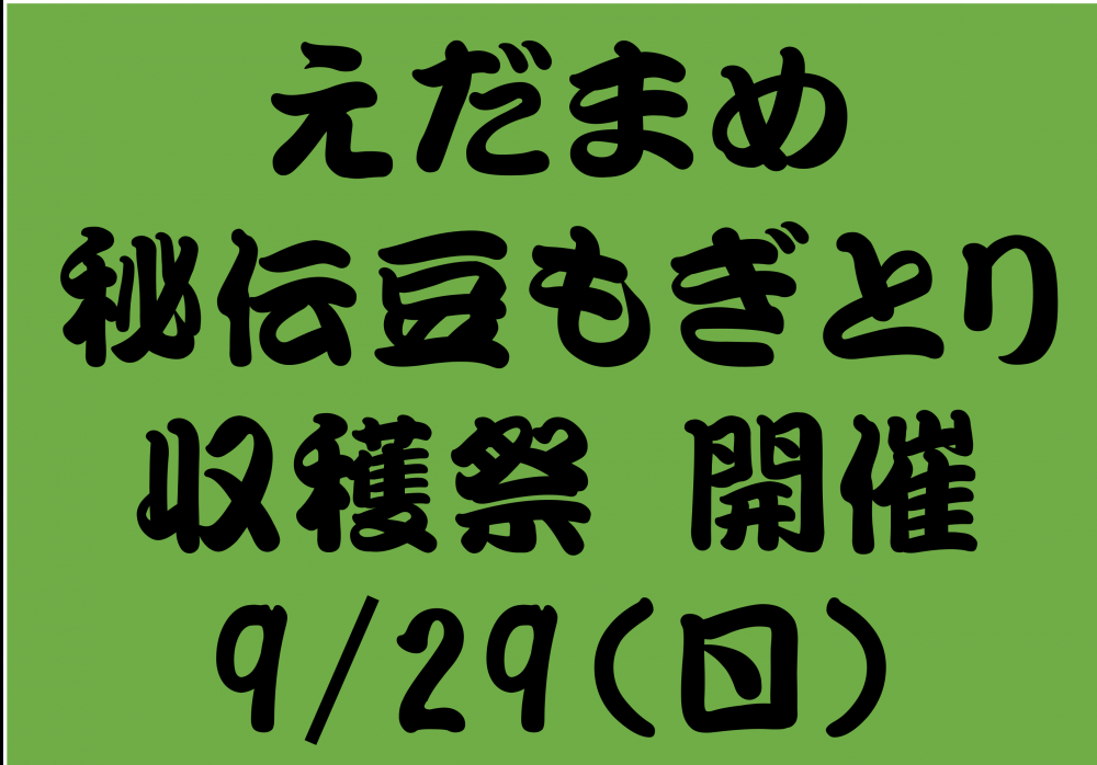 ��Ʀ���٥�ȳ��š�������