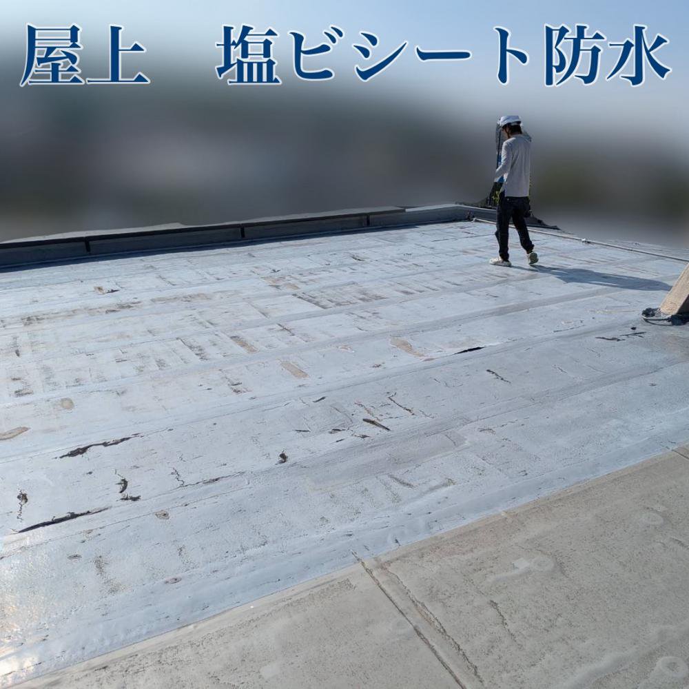 ʬӥɿ幩<br>ʻԡˡ