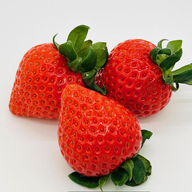 �ڤˤ��ˤ��ե롼�����ŵ�ۤ��ޤ�󡧲���