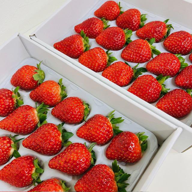 B���ե�åƥ��������ԽܤΥե롼�ġ�<br>���������֤�����ɱ�׿�Į�������������2Ȣ������