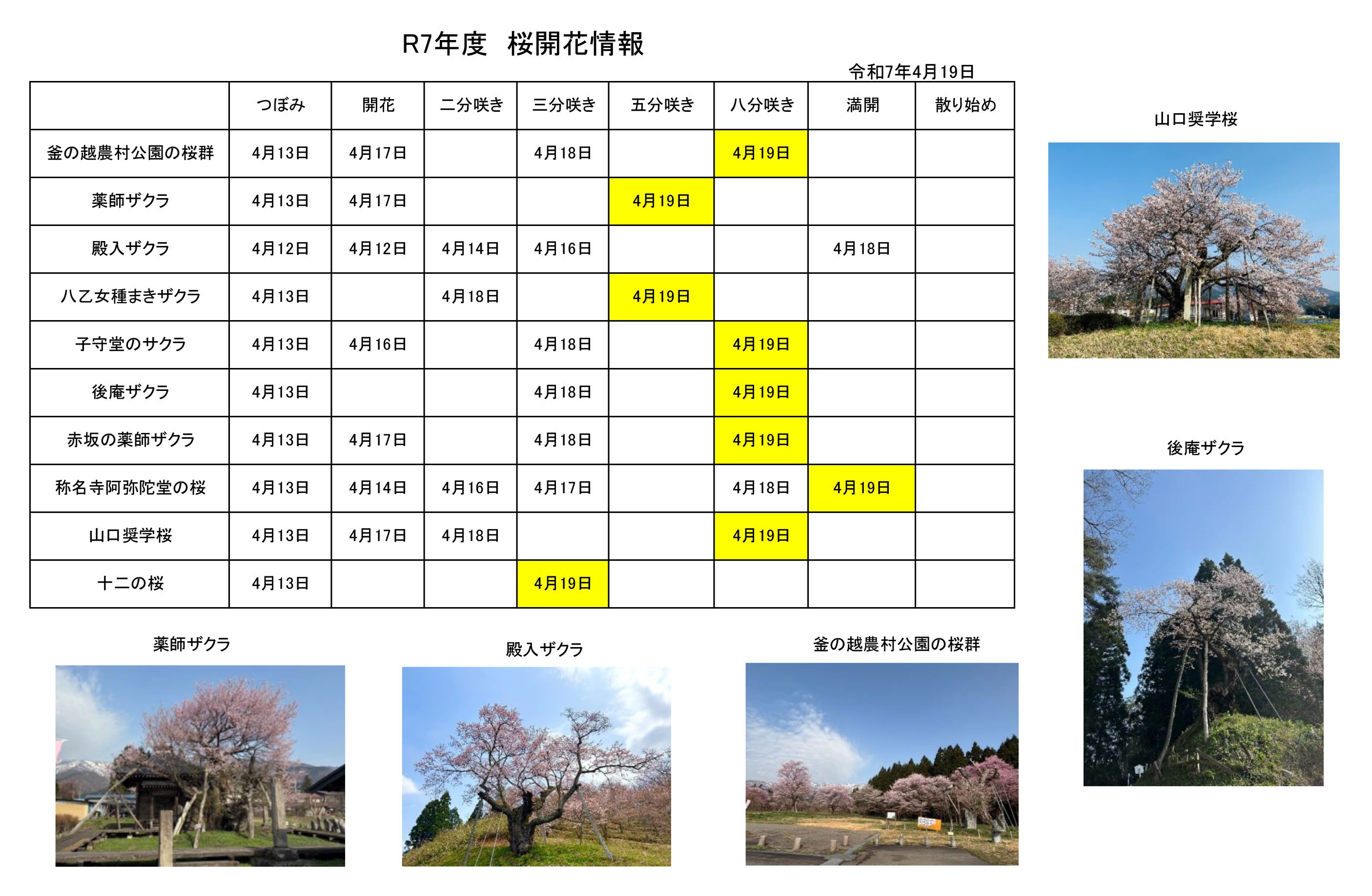 4.19־󡧲