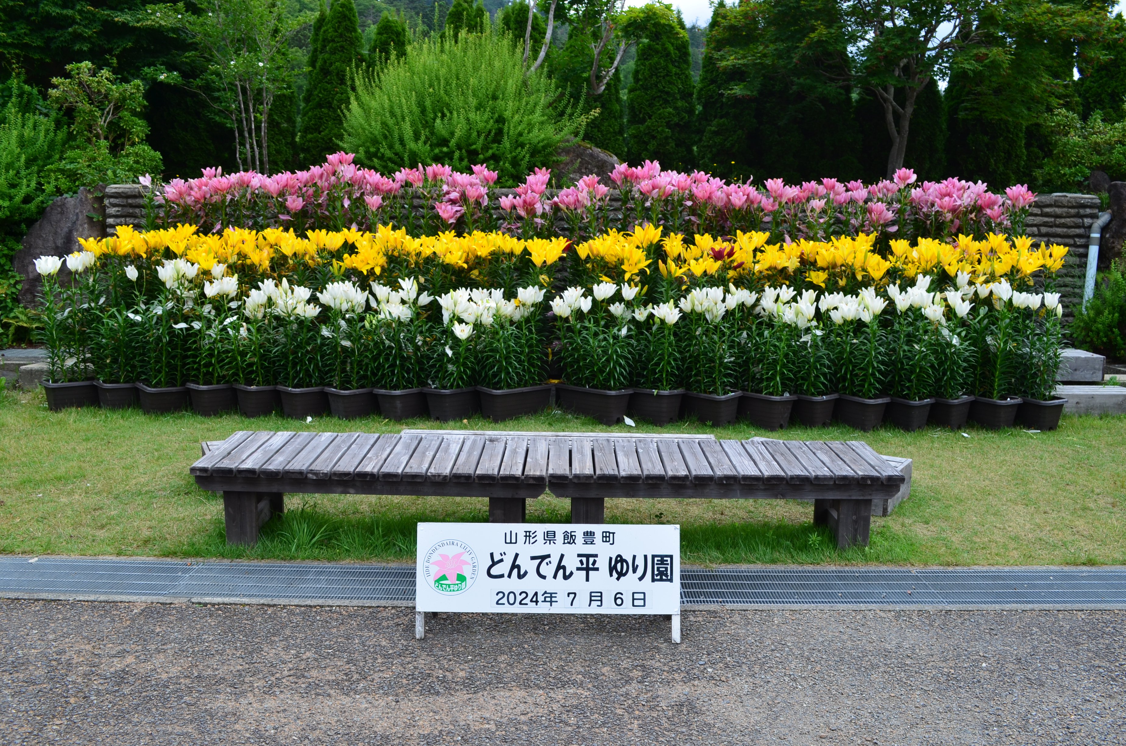 裴ɤǤʿ񻲲ü罸