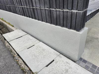 ϥ塼佤