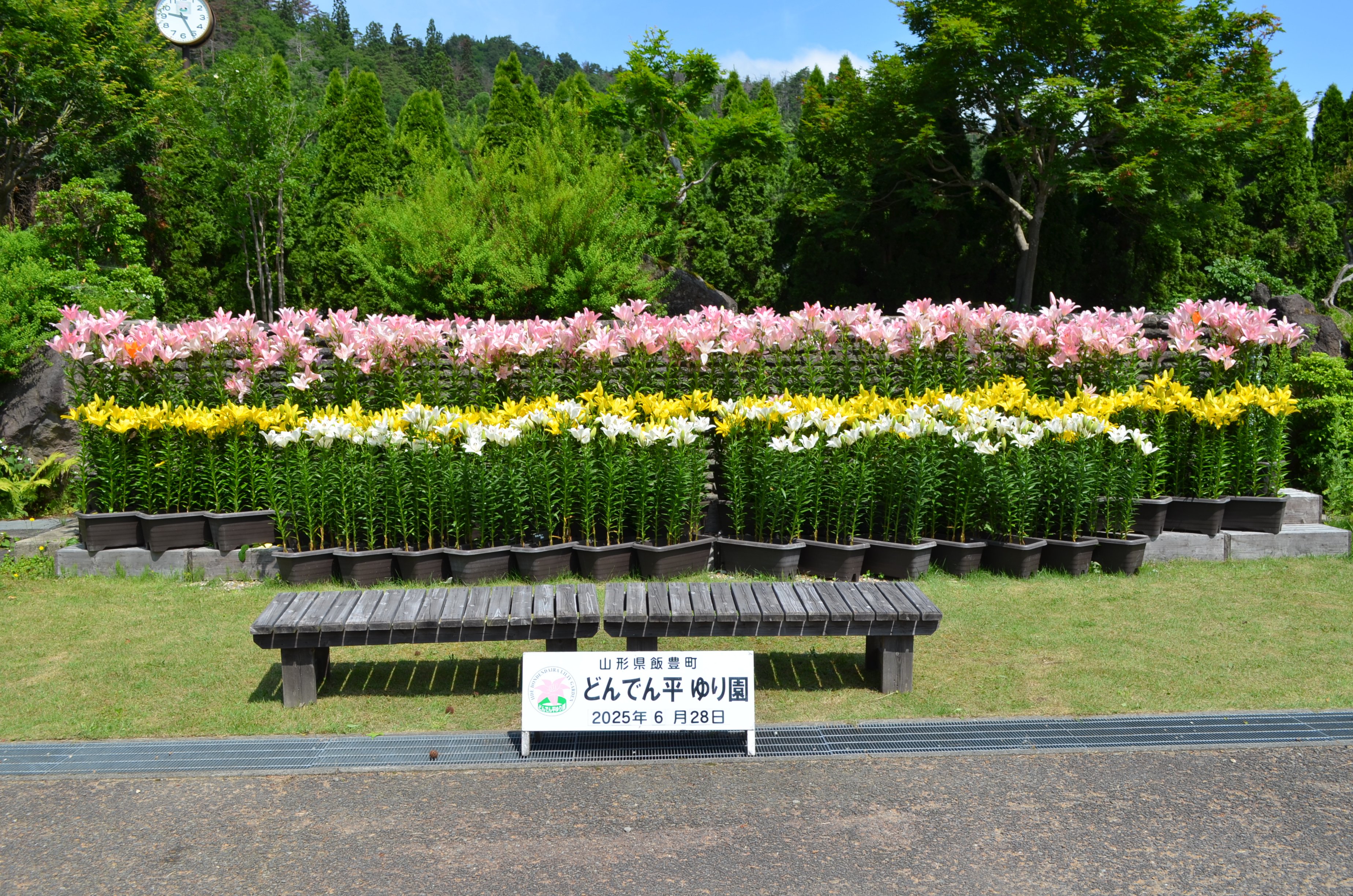 裴󡡤ɤǤʿ(ޤŤꥻ󥿡ˡ