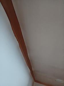 佤
