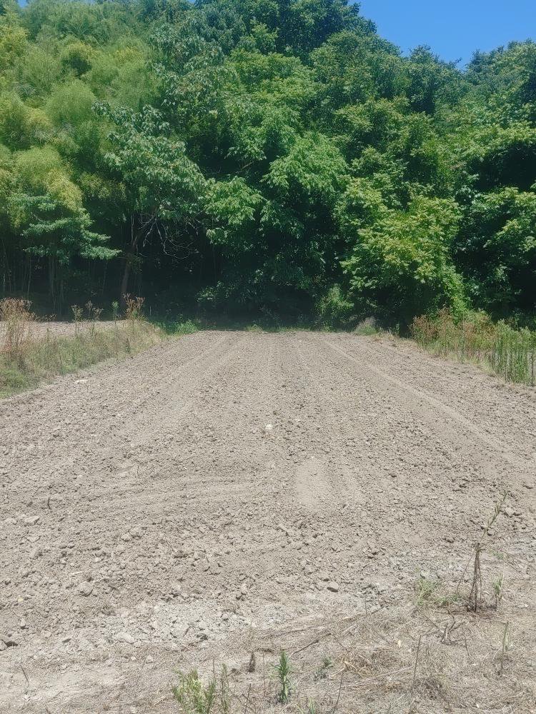 �����ż����