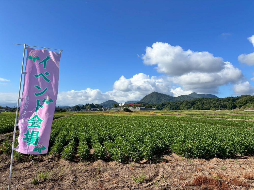 �����뤤�Ǥ��͡�(��������)������